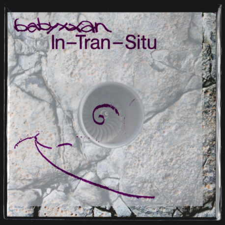 In-Tran-Situ