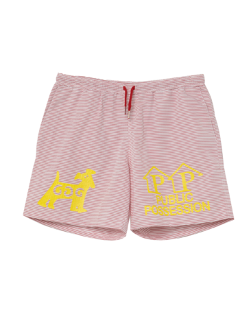 PUBLIC POSSESSION SWIM SHORT